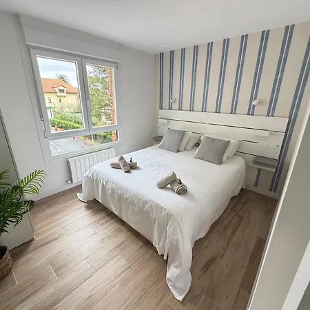 Lively By Kima Gestion