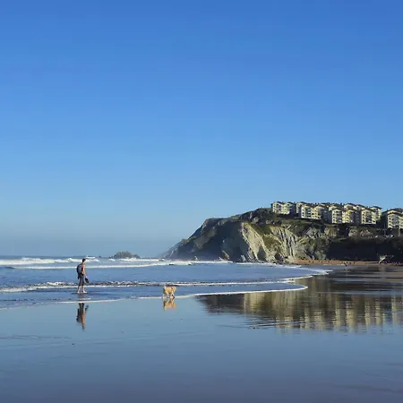 Lively By Kima Gestion Sopelana