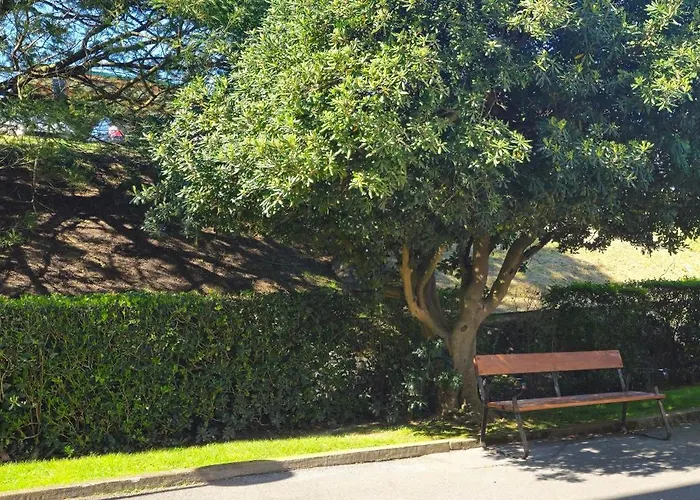 Lively By Kima Gestion