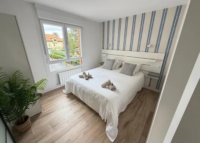 Lively By Kima Gestion