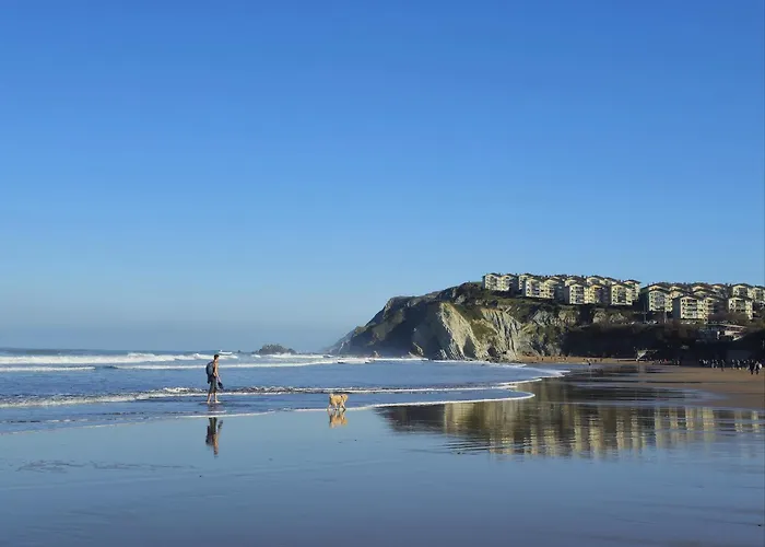 Lively By Kima Gestion Sopelana