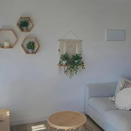 Lively By Kima Gestíon *