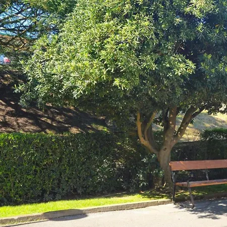 Lively By Kima Gestíon